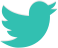 twitter icon